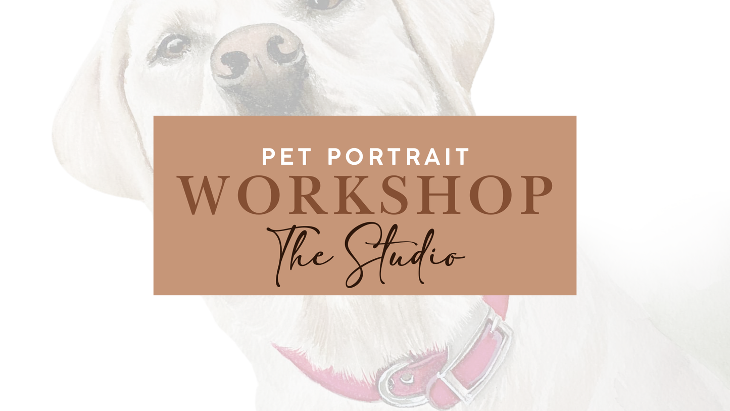 Pet Portrait | The Studio