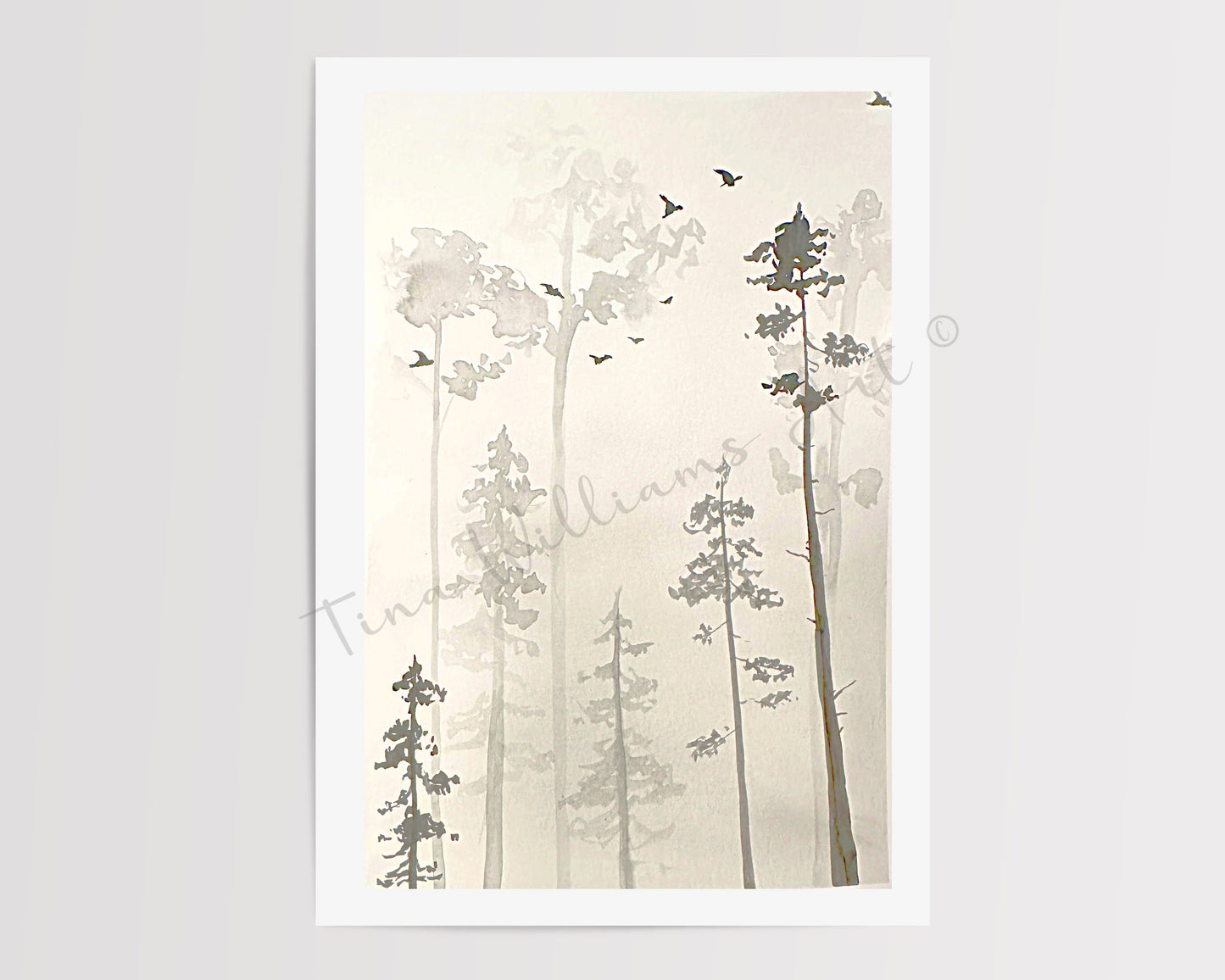 Foggy Forest | Portsmouth Holiday Inn