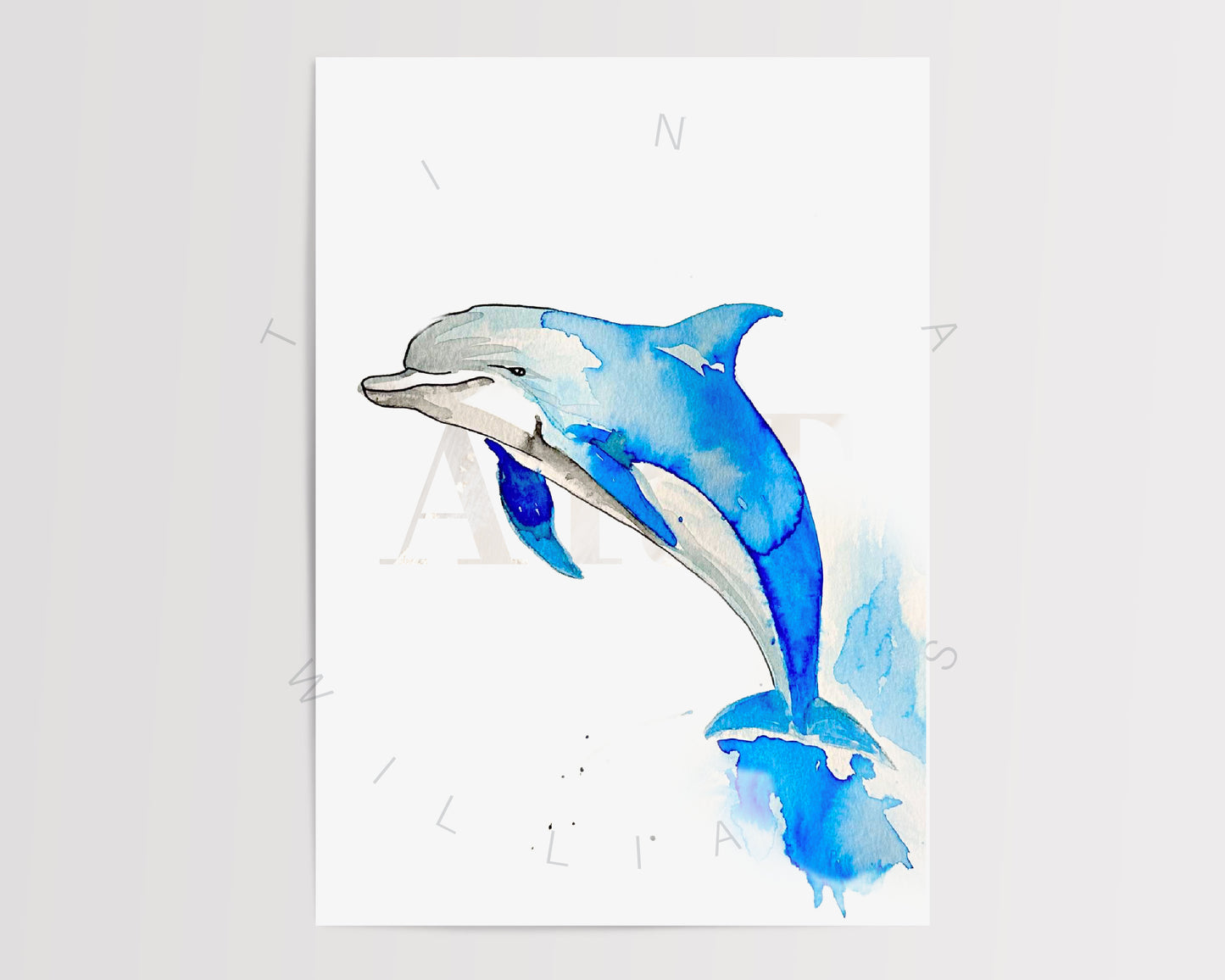 Sea Animals DIY Kit