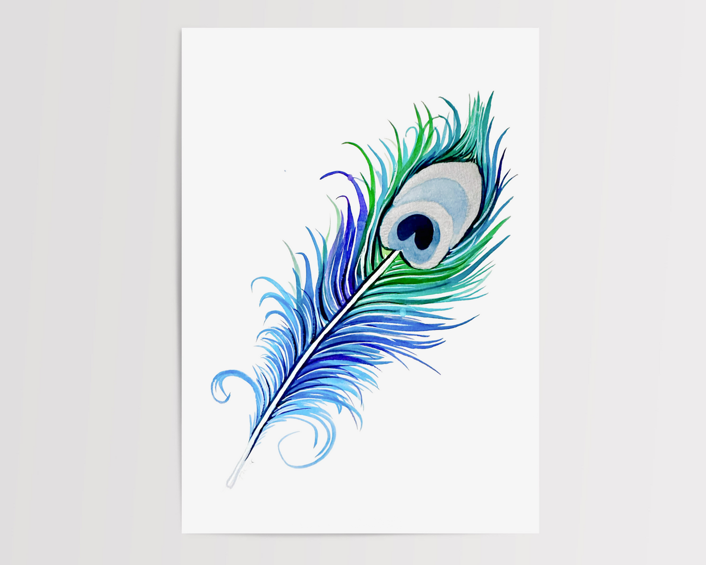 Peacock Feather | Somersworth