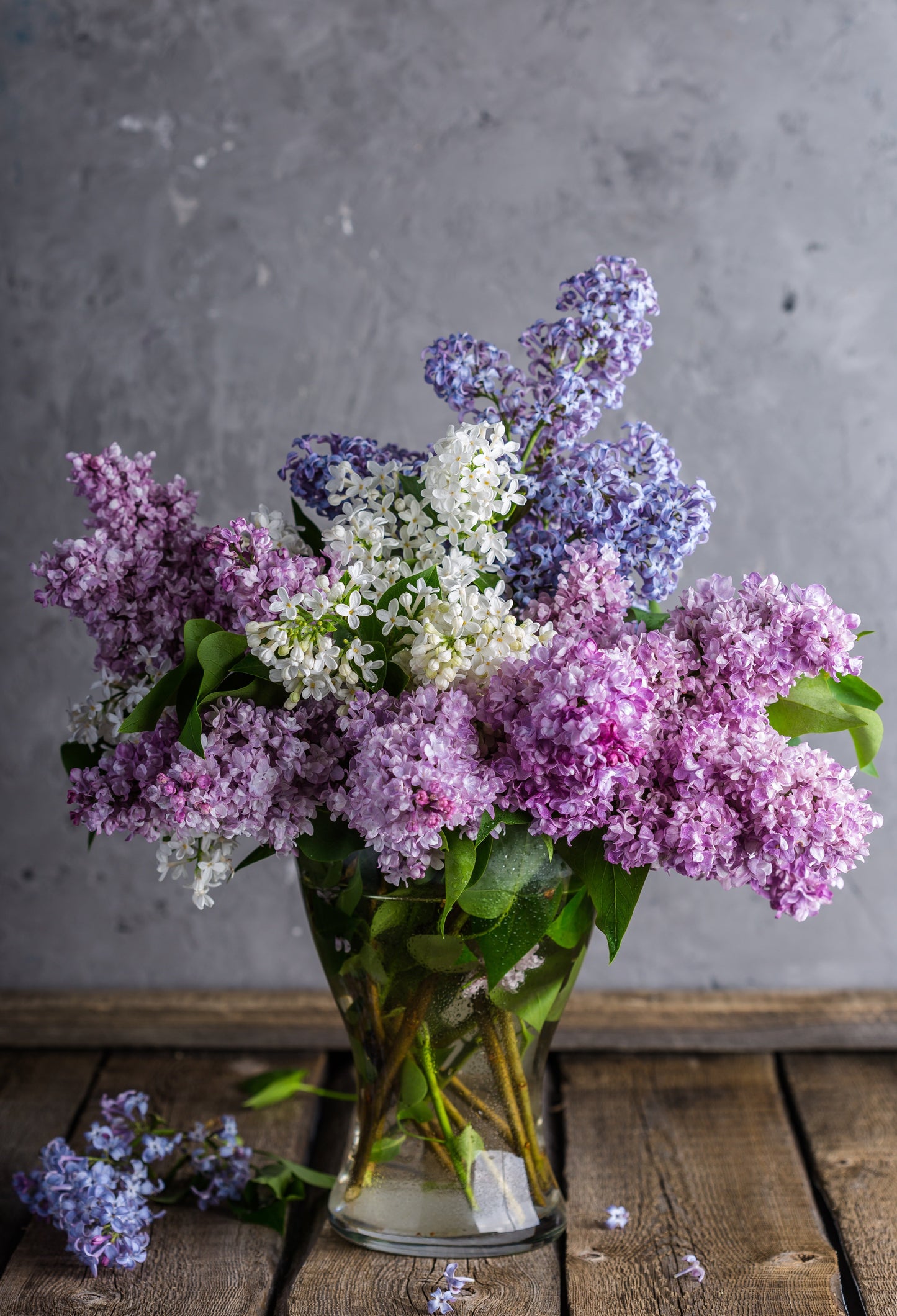 Photorealism Workshop | Lilacs | The Studio