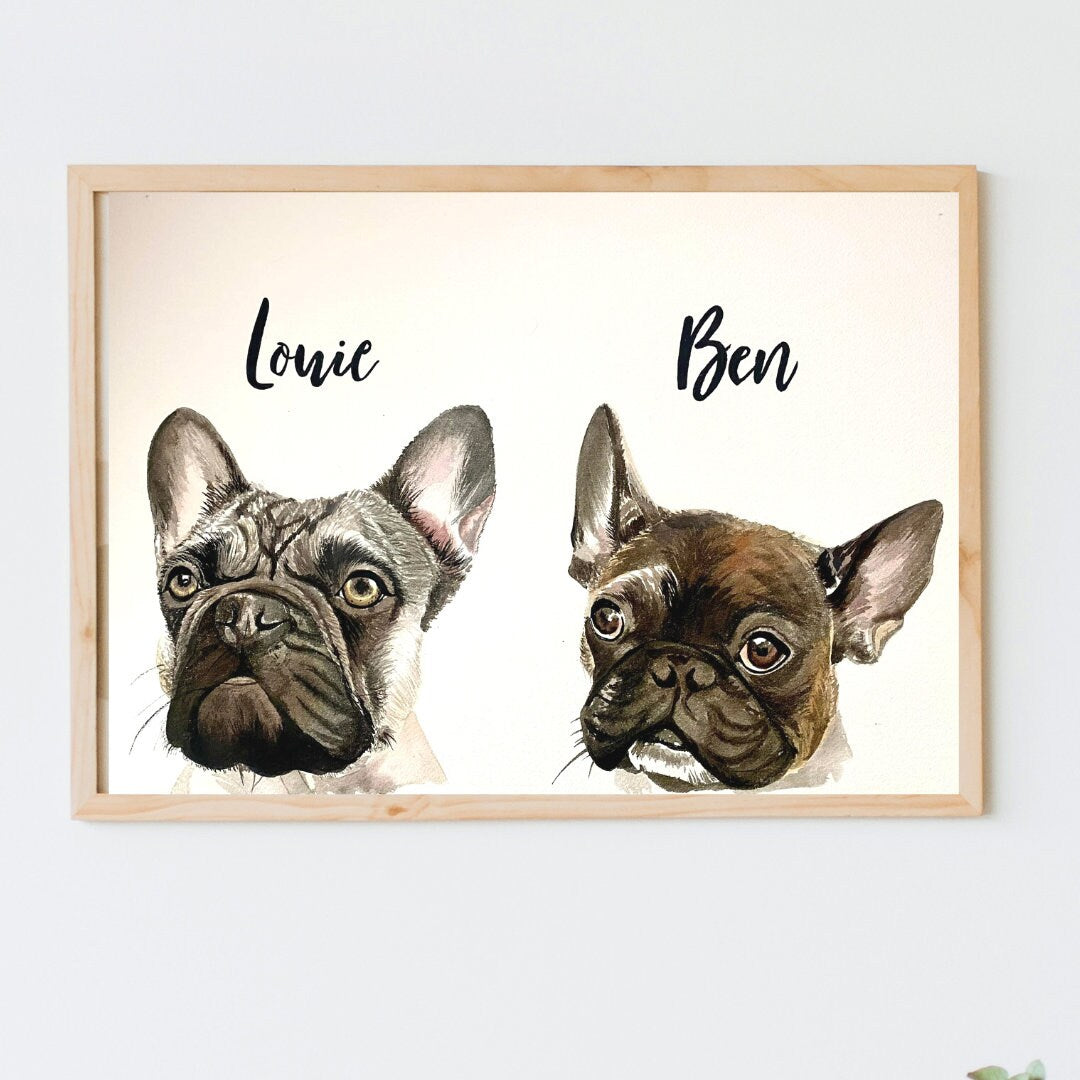 Peekaboo Pet Portrait