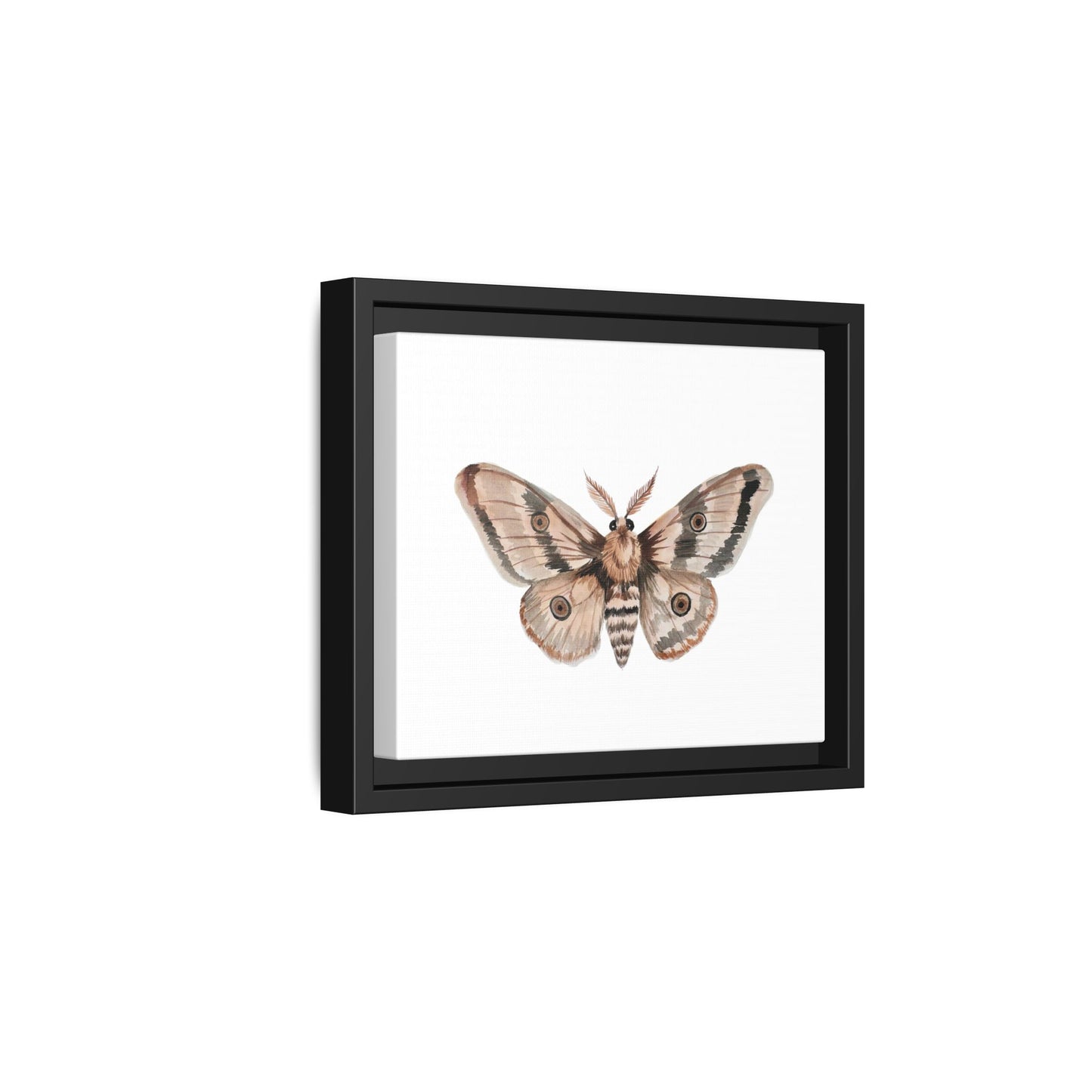 Framed Moth Wall Art – Neutral Botanical Canvas Print