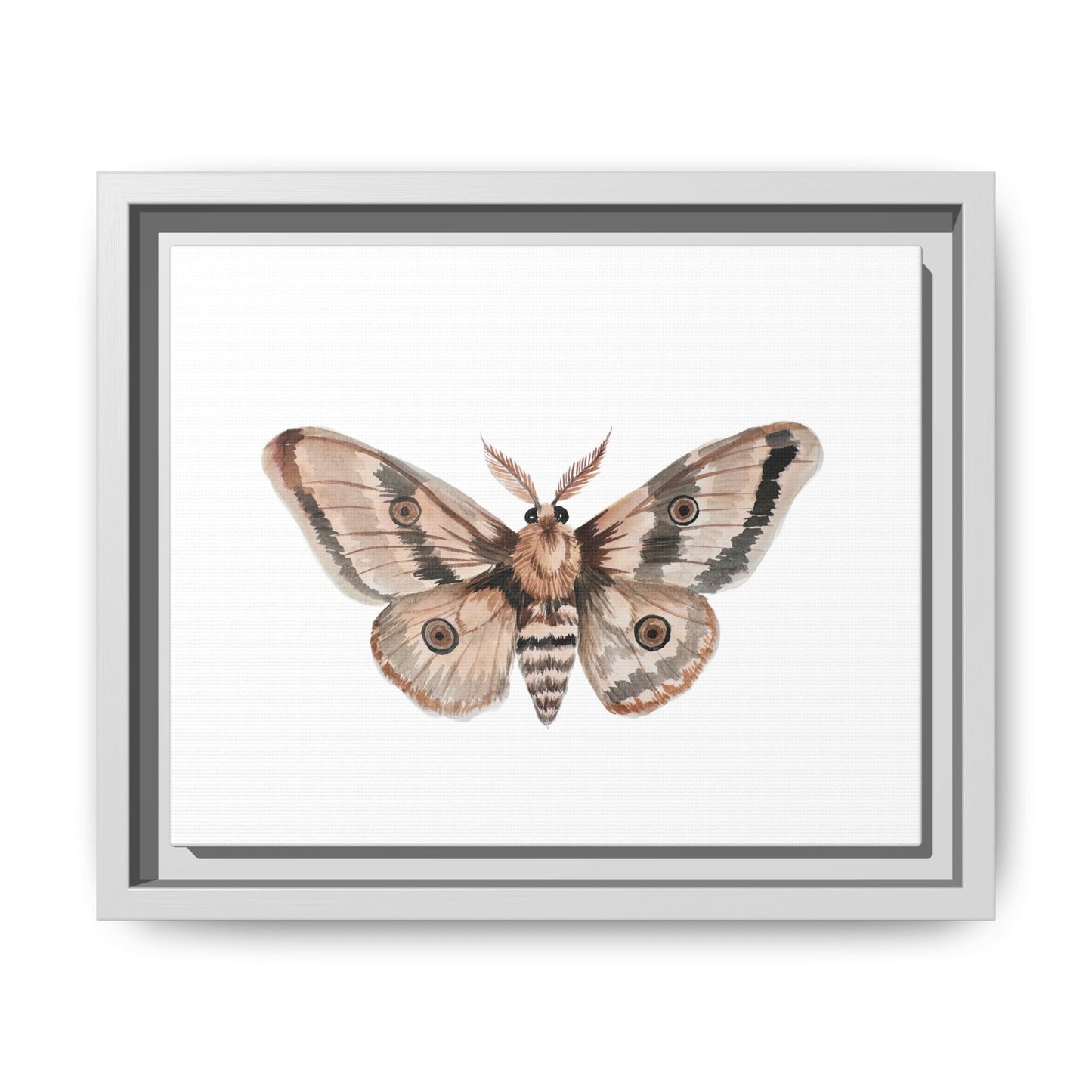 Framed Moth Wall Art – Neutral Botanical Canvas Print