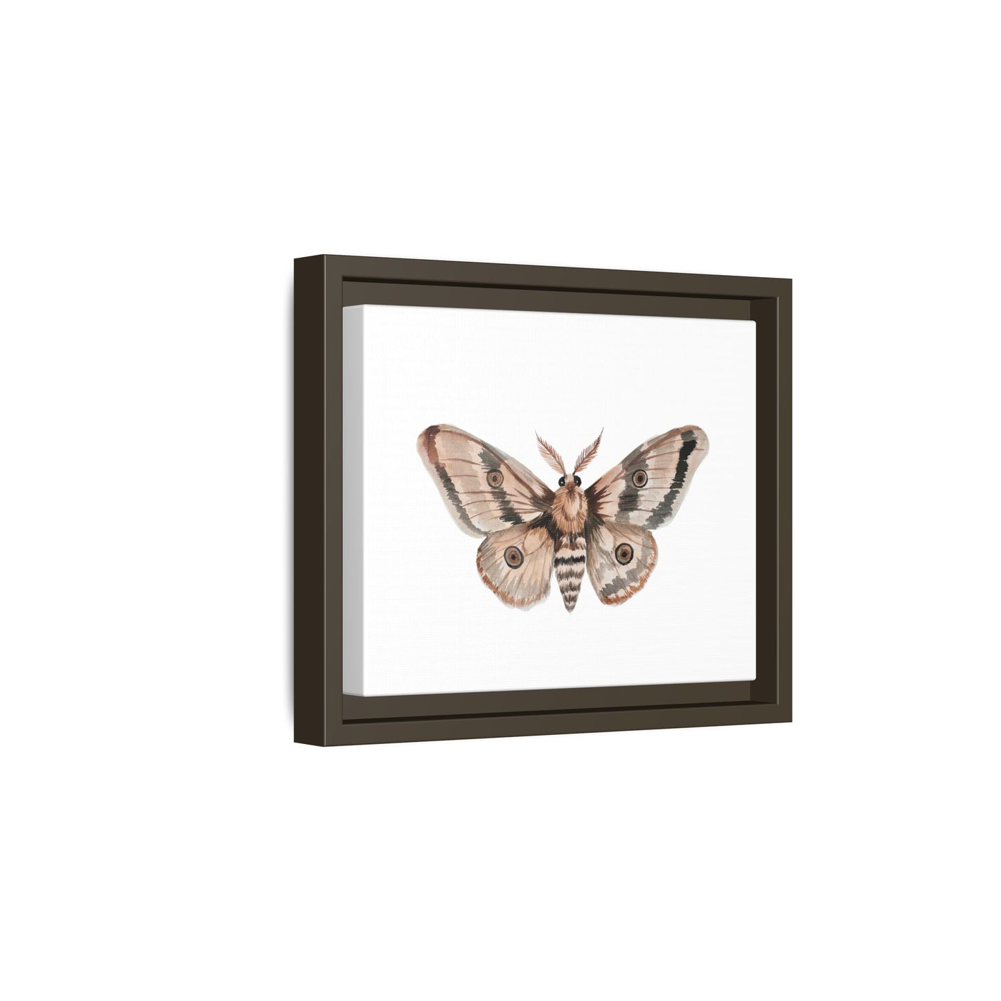 Framed Moth Wall Art – Neutral Botanical Canvas Print
