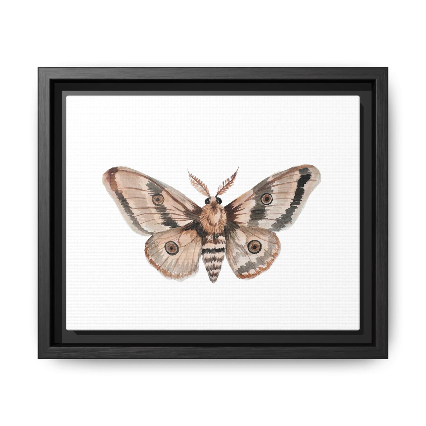 Framed Moth Wall Art – Neutral Botanical Canvas Print