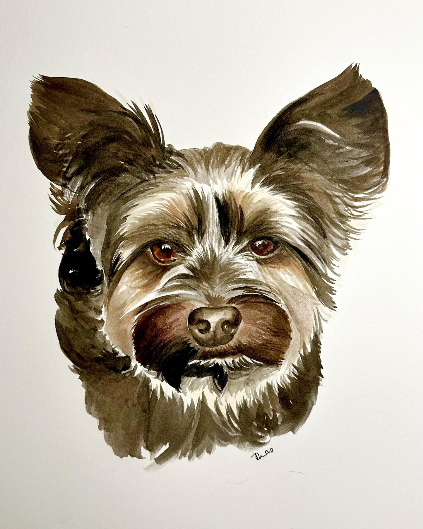 Pet Portrait Workshop September 27th The Studio