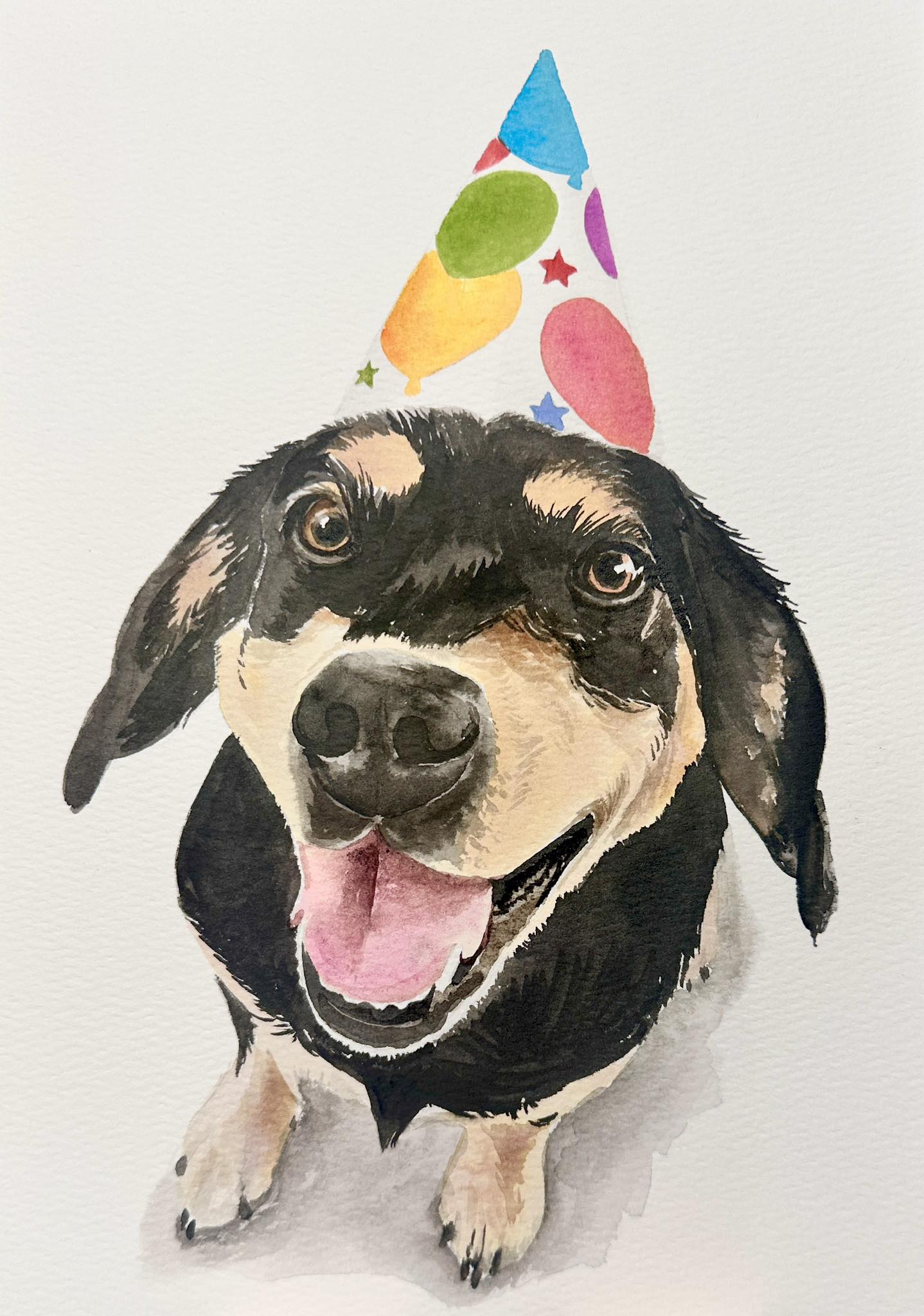 Pet Portrait Workshop September 27th The Studio