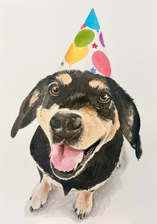 Pet Portrait Workshop September 27th The Studio