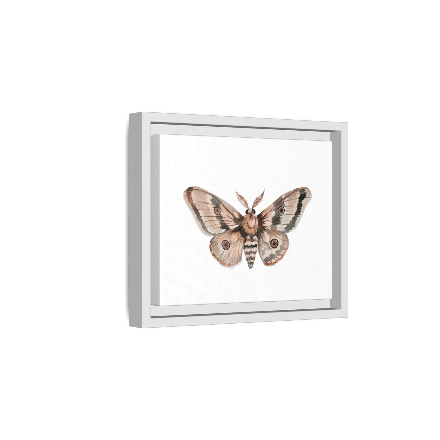 Framed Moth Wall Art – Neutral Botanical Canvas Print