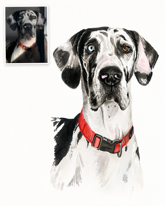 Custom Pet Portrait