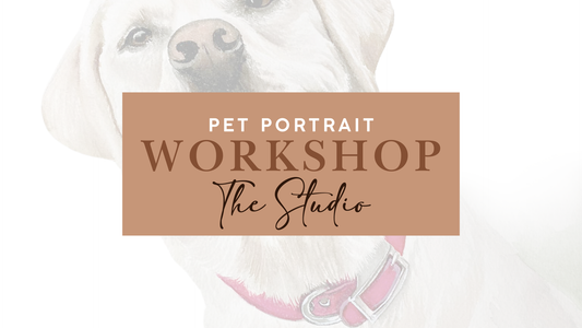 Pet Portrait | The Studio