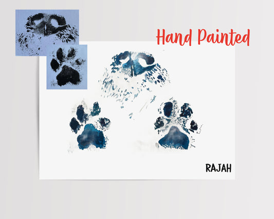 Hand Painted Paw Prints | Nose Prints | Custom Artwork