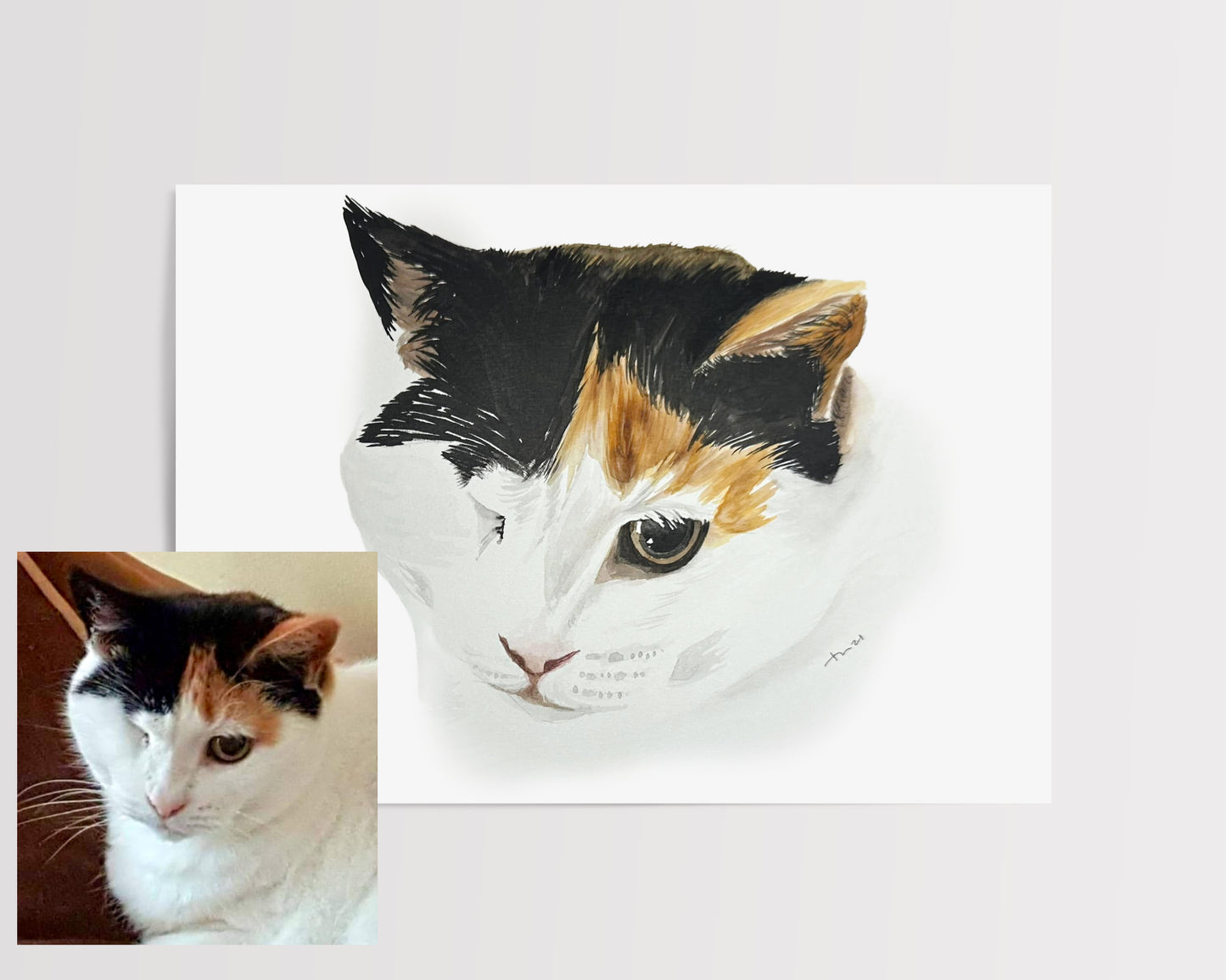Pet Portrait Workshop September 27th The Studio