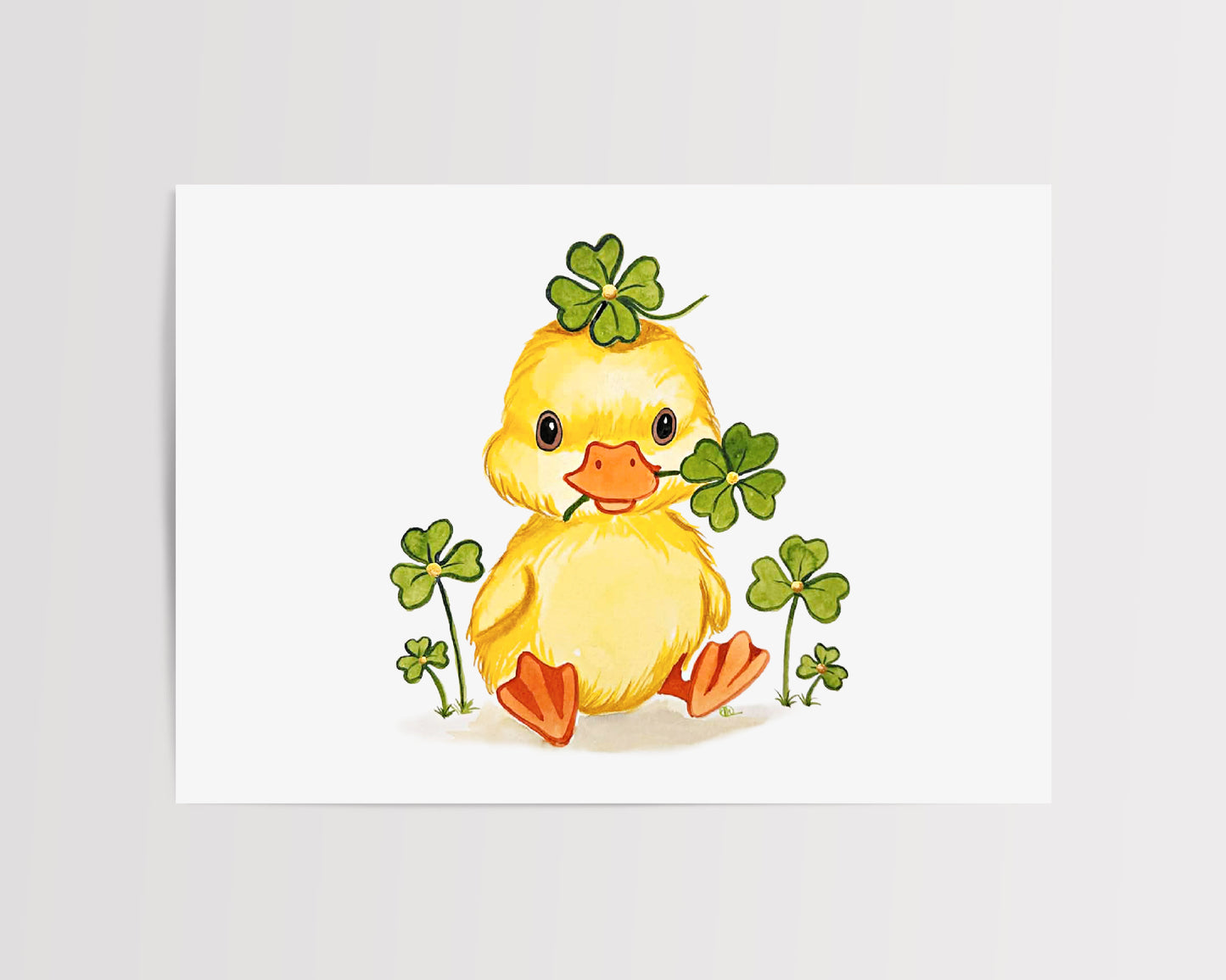 Lucky Duck Somersworth