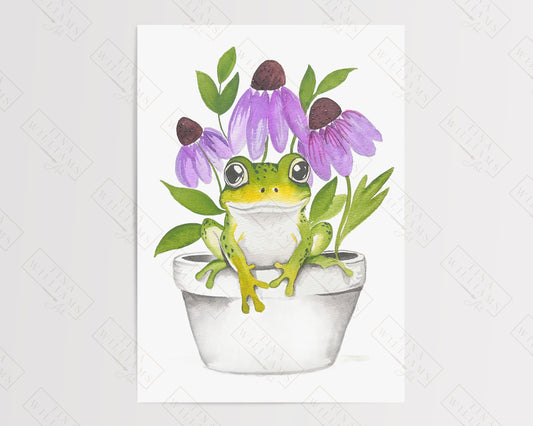 Frog in a Pot | Portsmouth
