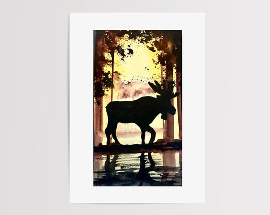 Moose Springsteen | Kingston