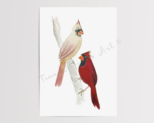 Cardinals at the Gathering Place Studio