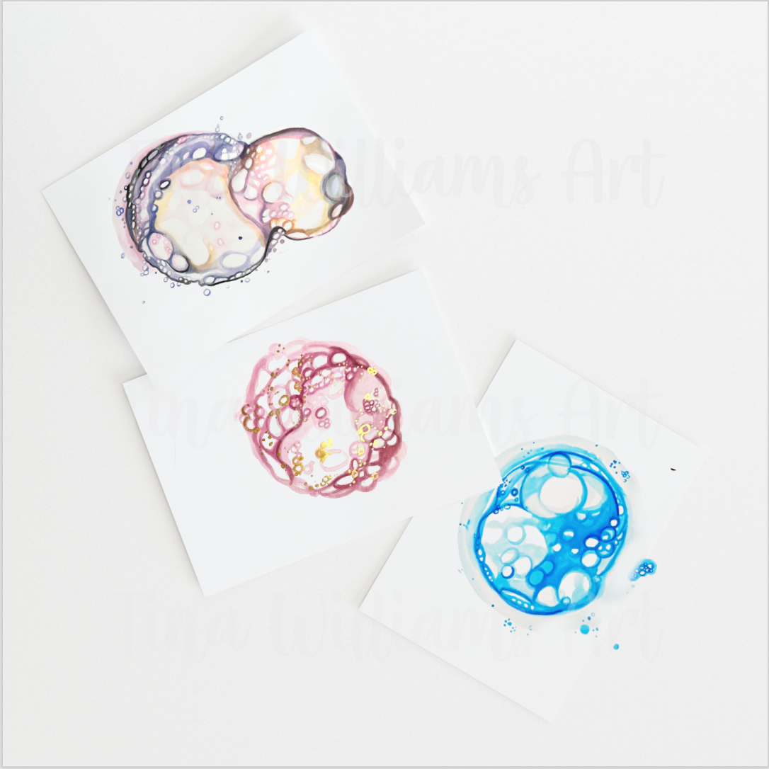 Custom Embryo Watercolor