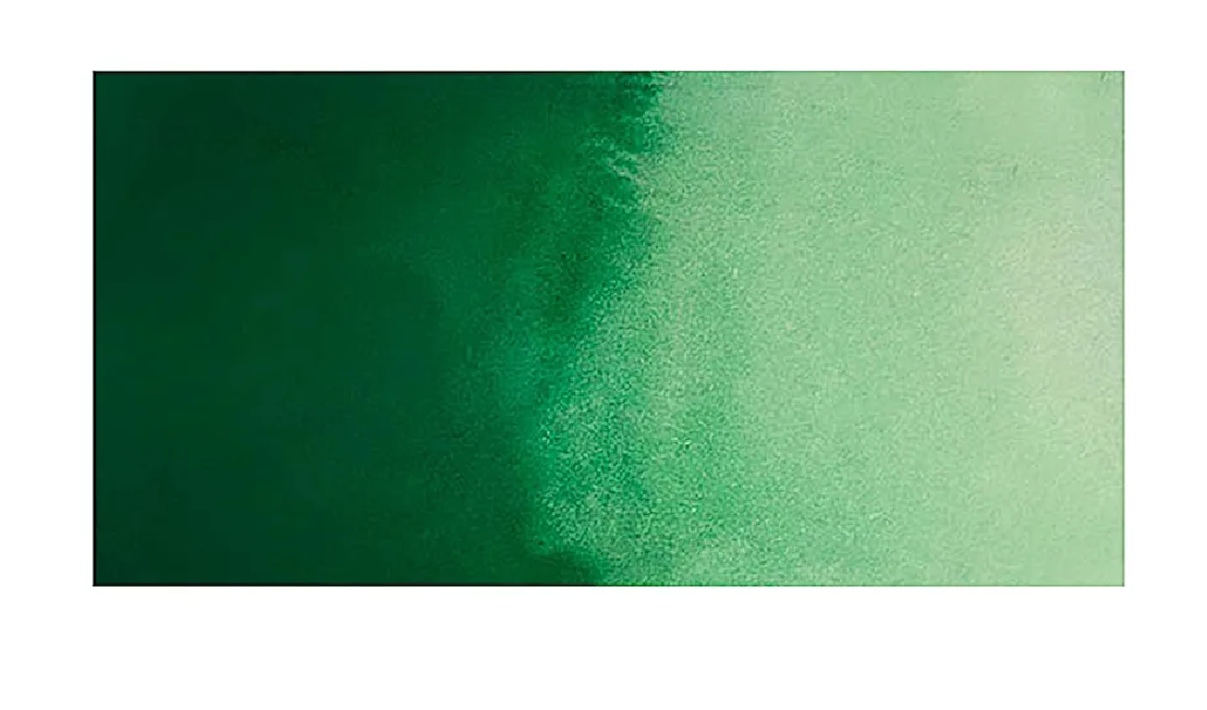 Dr. Ph. Martin Hydrus Sap Green | 1oz