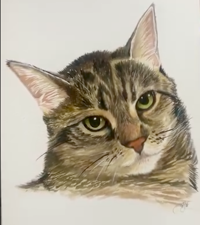 Custom Pet Portrait