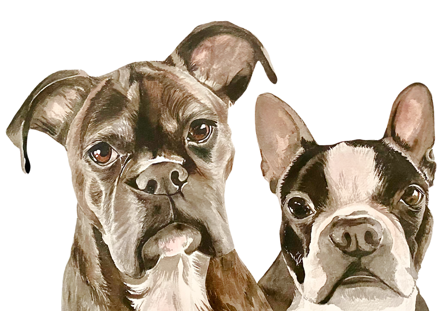 Custom Pet Portrait