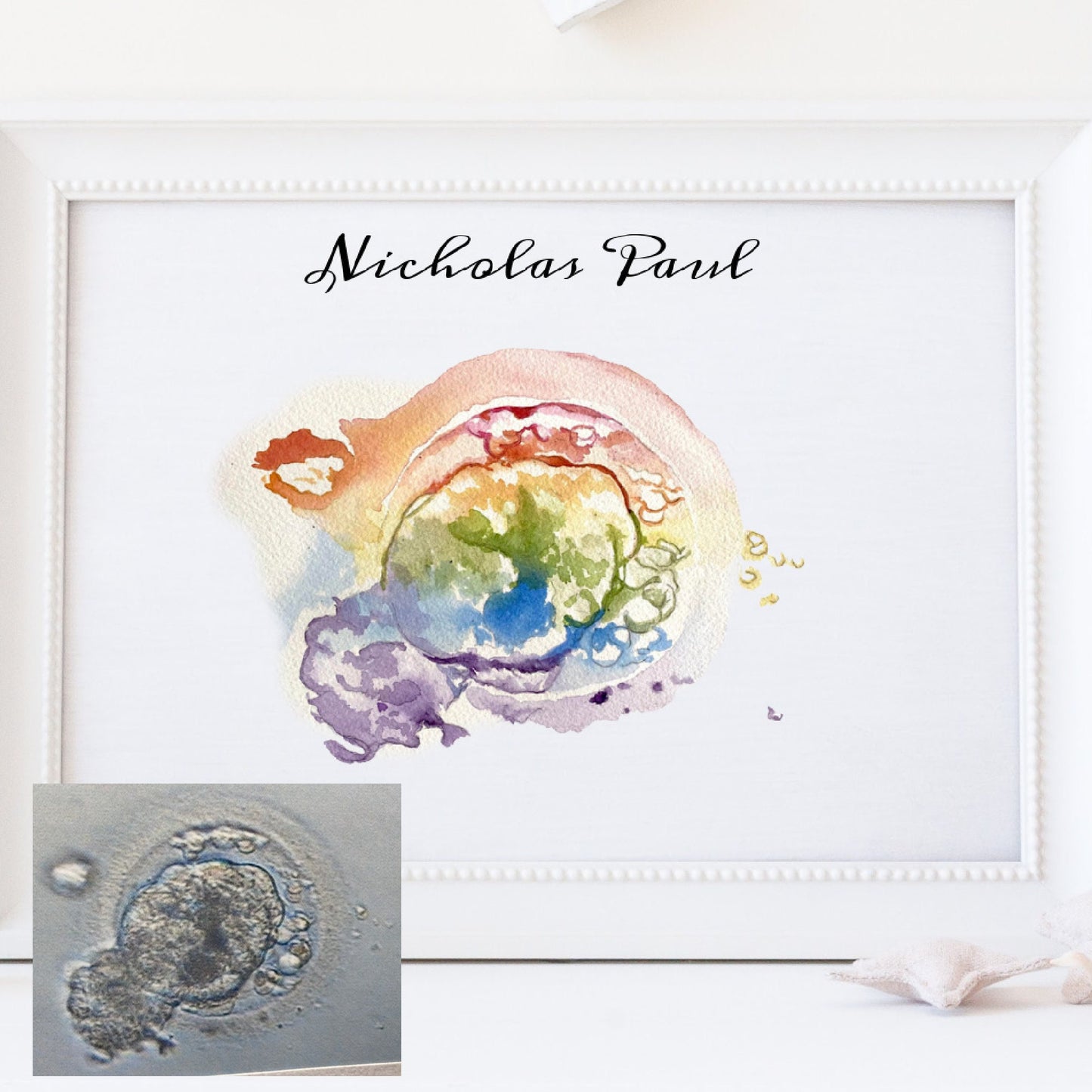 Custom Embryo Watercolor