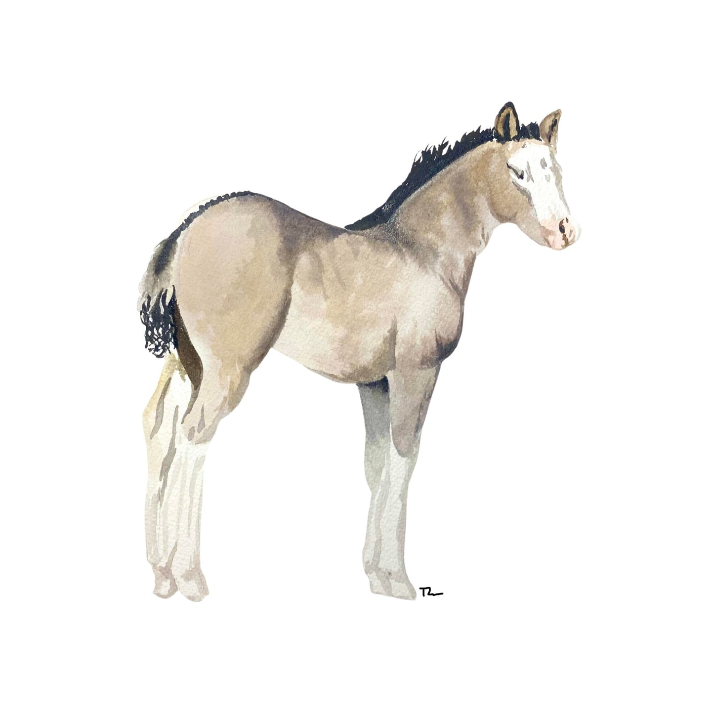 Custom Horse Portrait