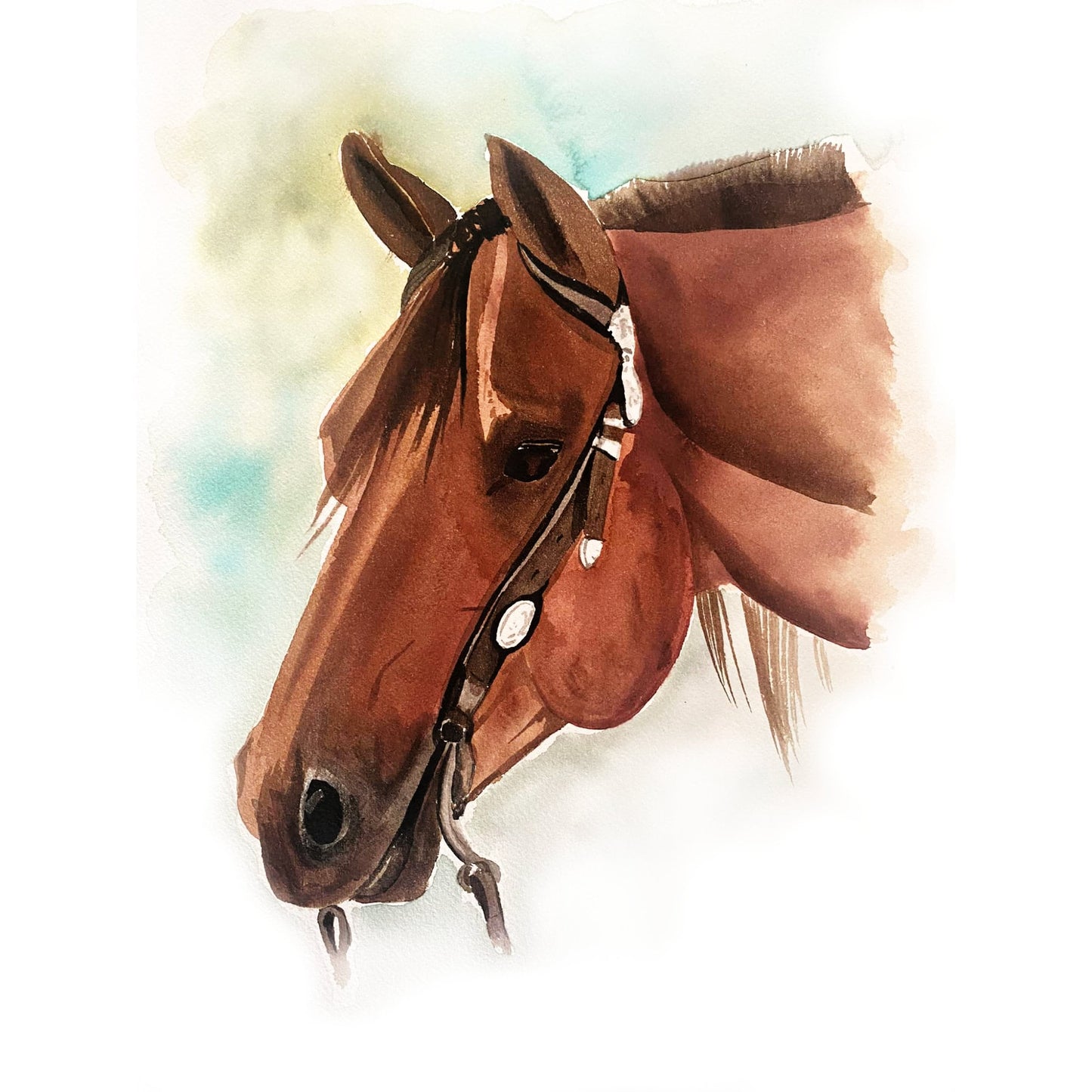 Custom Horse Portrait