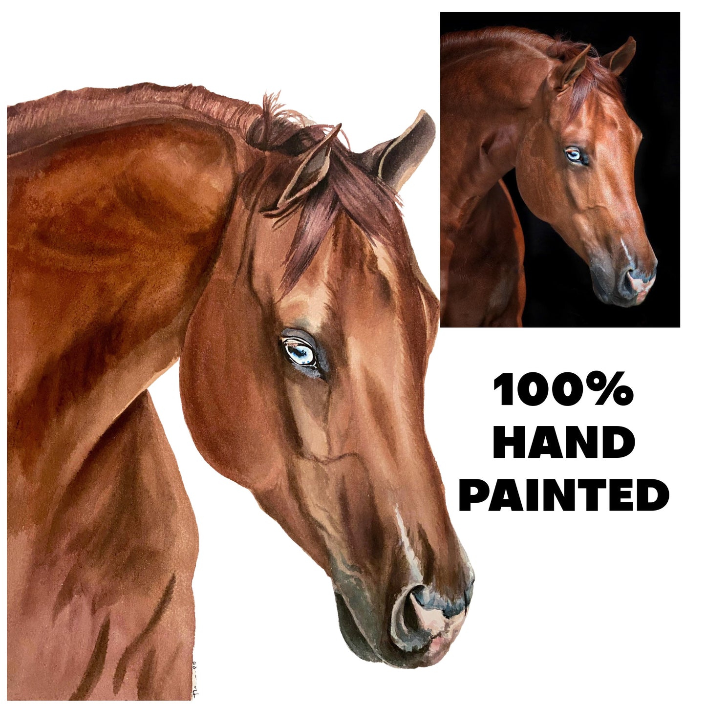 Custom Horse Portrait